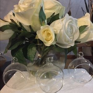 Mini Clear Glass Globe